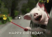 pig-happy-birthday.gif