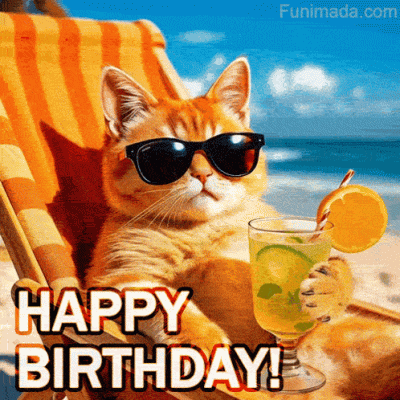 birthday-cat.gif