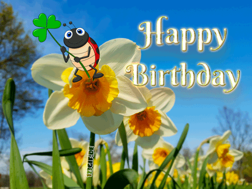 geburtstag-0237.gif