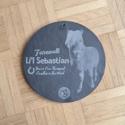 IMG_20260217_142726.jpg IMG_20260217_142726.jpg