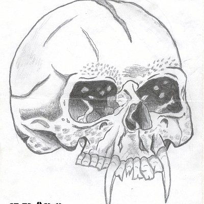 metallica skull rhp
