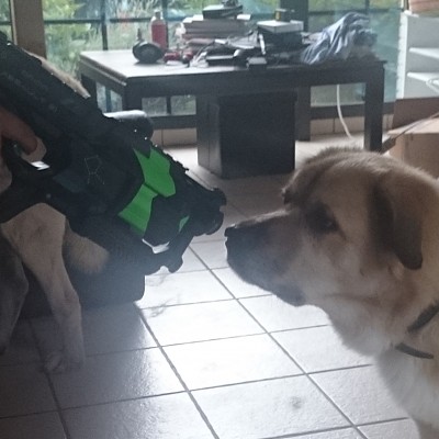 Skepsis