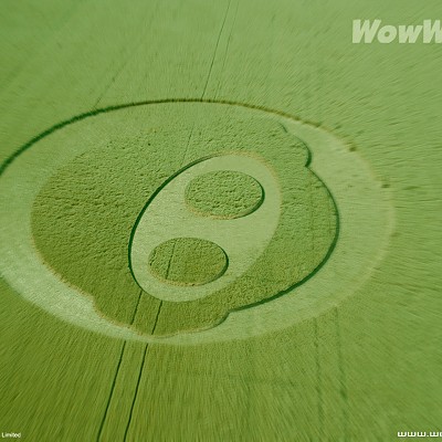 wowwee - crop circle - logo