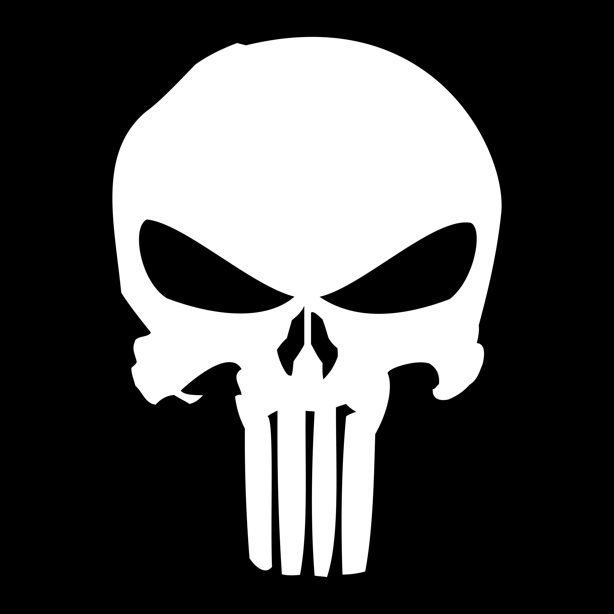 The Punisher